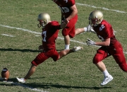 开云体育官网-张本智和状态火热，瑞典队3-0碾压奥地利队展现团队统治力