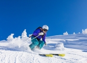 开云下载-太阳硬仗取胜猛龙，杰伦·格林成为关键先生