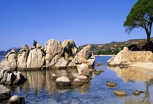 开云足球直播-拉文，从风城飞人到湖人终结者，奇才关键先生的诞生